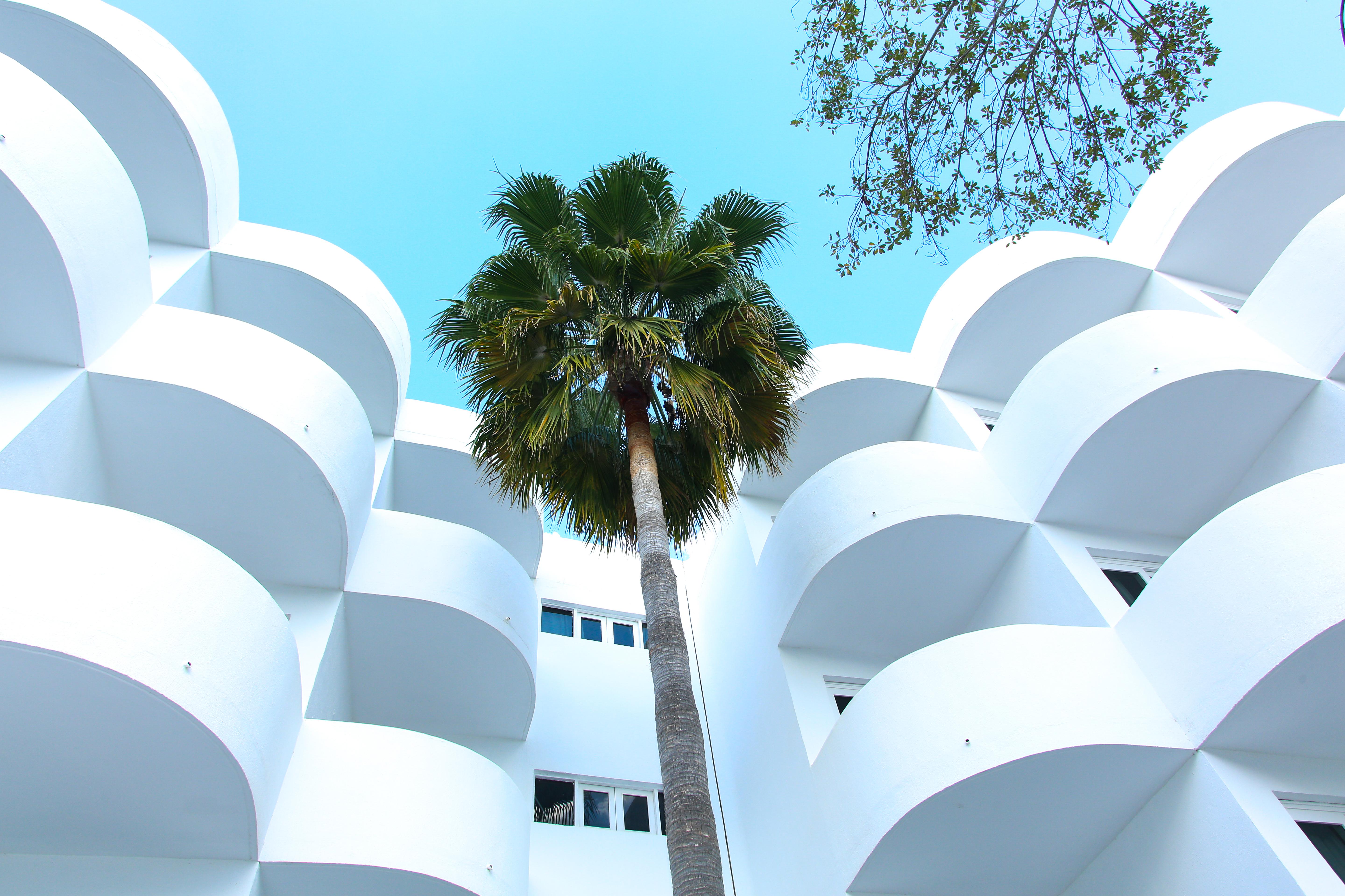 Sentido Fido Tucan - Adults Only Cala d'Or  Ngoại thất bức ảnh